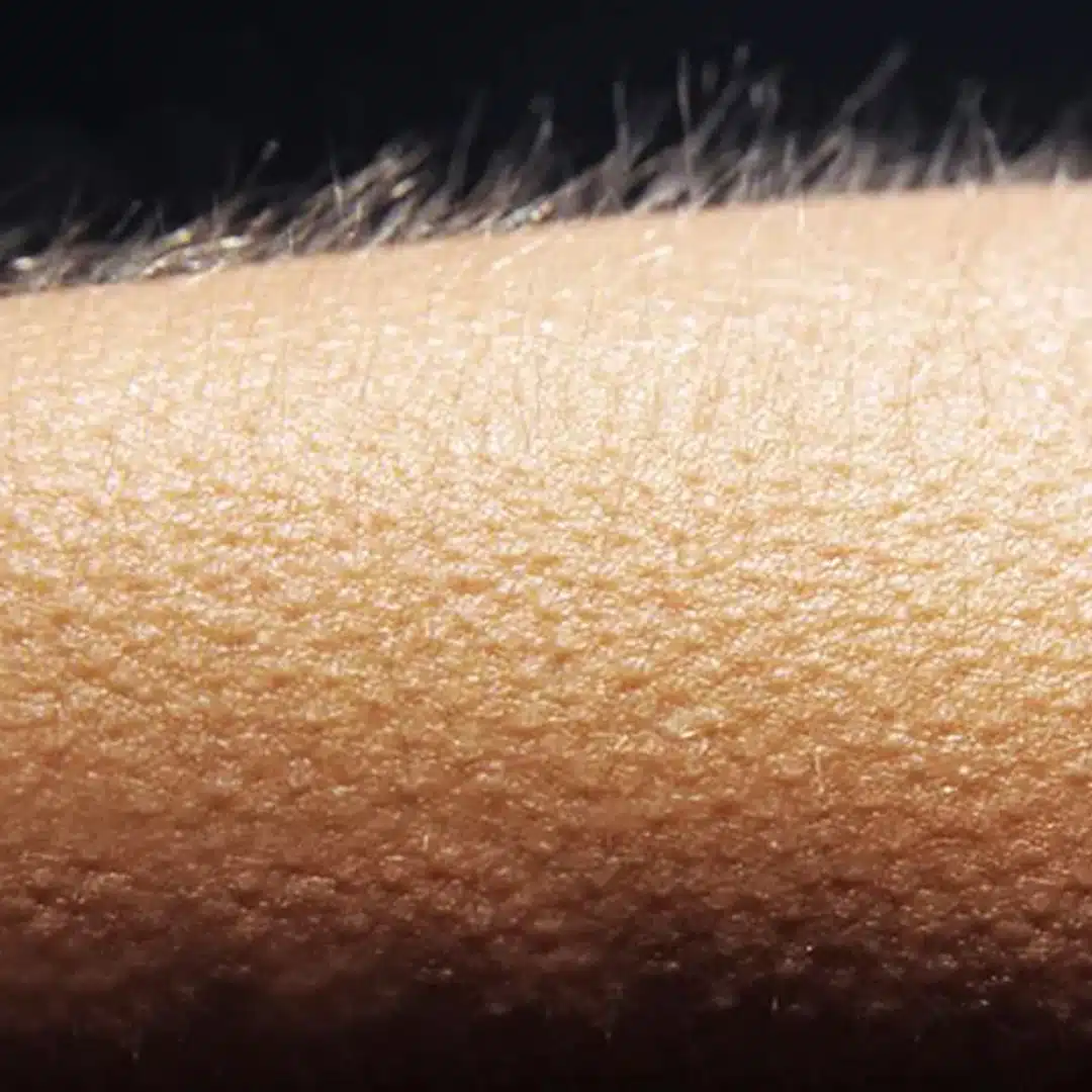 Frissons Inexpliqués : Quand Votre Corps Vous Envoie des Signaux d ...